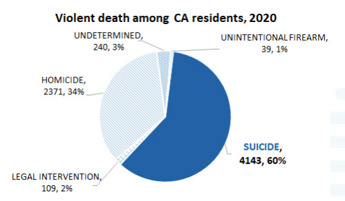 Pie graph showing 6,902 violent deaths to Californians in 2020, of which 4,143 were deaths due to suicide.