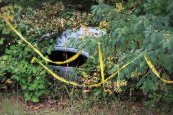 Senior with Dementia ran car off the road and into the trees alongside the roadway.